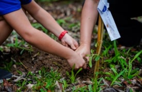 Sustentabilidade na educação: como o Poliedro Educação contribui agora para um futuro melhor